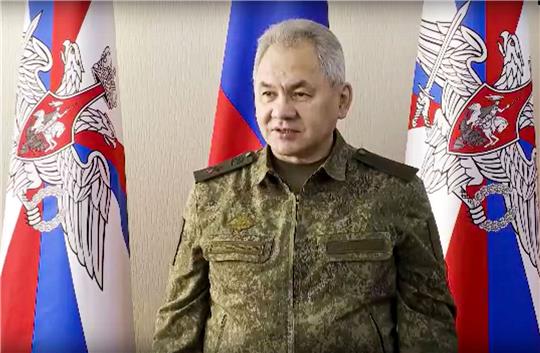 Verteidigungsminister Sergej Schoigu muss den Umbau der russischen Armee organisi
eren.