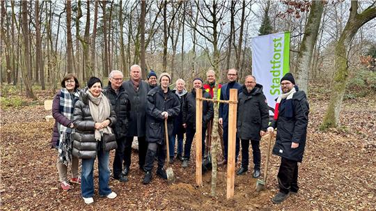 Eine Gruppe Menschen steht im Wald.