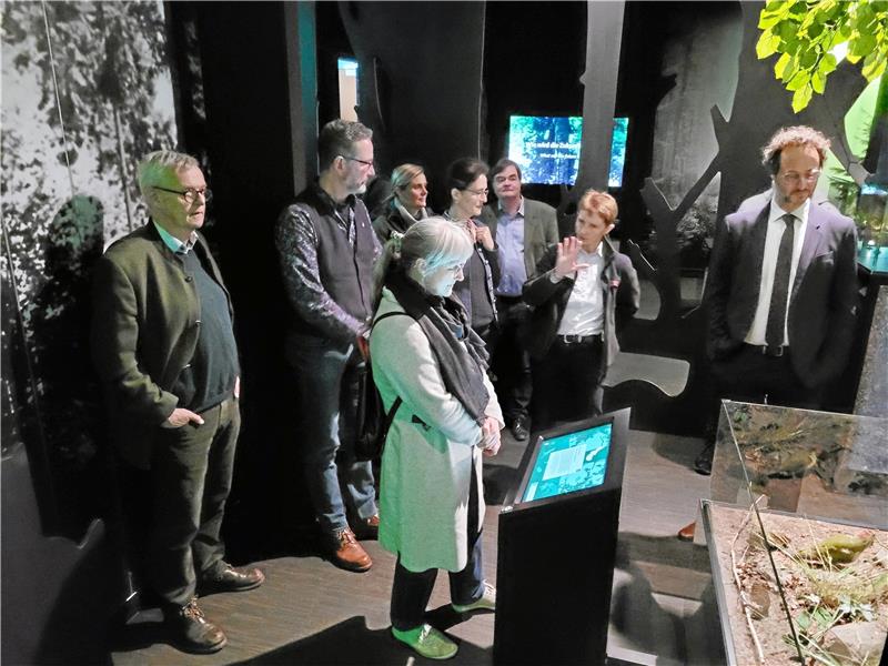 Bad Harzburger Harzwaldhaus hat ab sofort wieder geöffnet Vertreter von Nationalpark, Landesforsten und Umweltministerium machen als Erste einen Rundgang durch die neue Ausstellung im Harzwaldhaus. Geblieben ist von früher lediglich das Ameisenvolk. Fotos: Exner