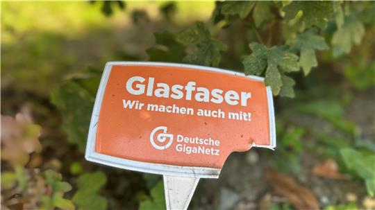 Viele Bad Harzburger, die einen Vorvertrag mit Deutsche Giganetz abgeschlossen hatten, haben ihre Schildchen bereits aus dem Vorgarten entfernt.