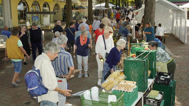 Viele Besucher schauen sich das umfangreiche Angebot an den 30 Ständen des Öko-Marktes an.