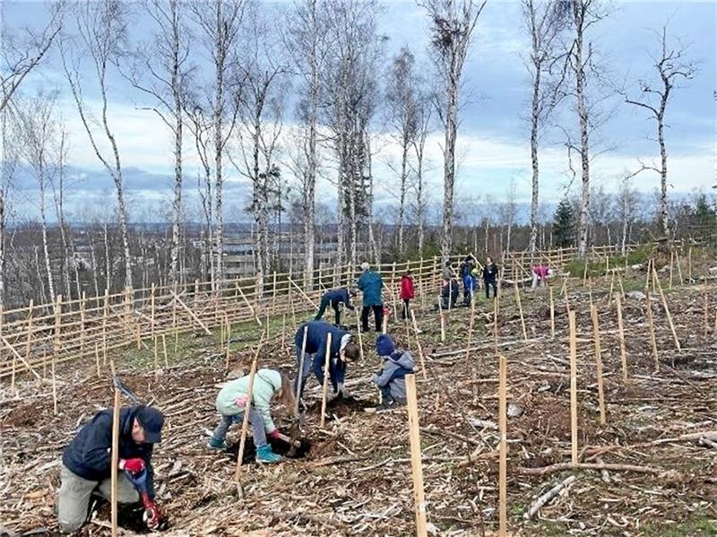 Viele Goslarer haben in drei Jahren bei „Wald für morgen“ mitgemacht. Foto: Privat