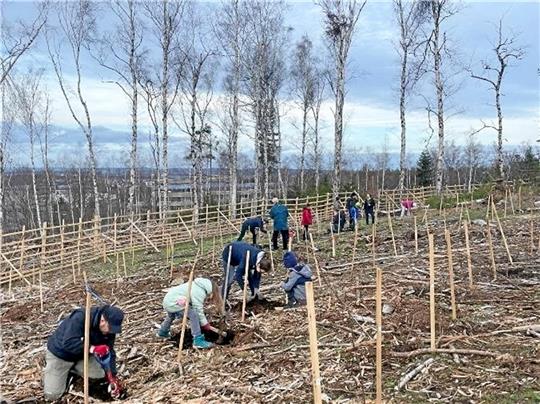 Viele Goslarer haben in drei Jahren bei „Wald für morgen“ mitgemacht. Foto: Privat