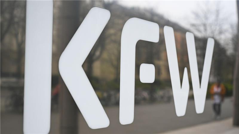 Viele Gründer starten im Nebenerwerb und ohne weitere Beschäftigte.