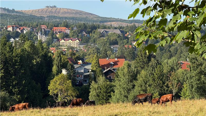 Die Dachmarke sorgt für Kontroversen, doch was ist das eigentlich? Viele Hoteliers fordern eine kurze Dachmarke für die Stadt. Das Foto zeigt den Blick vom Friedhof über Braunlage zum Kleinen Winterberg.
