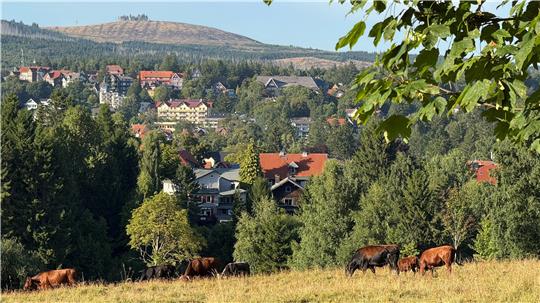 Viele Hoteliers fordern eine kurze Dachmarke für die Stadt. Das Foto zeigt den Blick vom Friedhof über Braunlage zum Kleinen Winterberg.