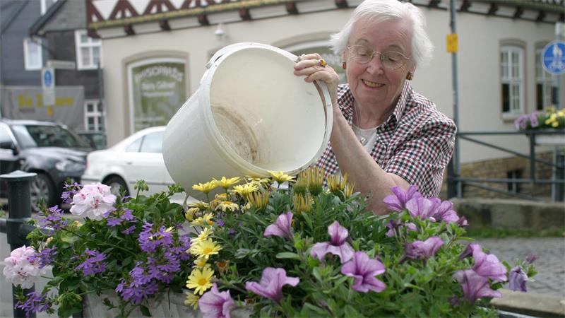 Eine Frau schüttet Wasser aus einem weißen Eimer in violett-gelb bepflanzte Blumenkästen. 