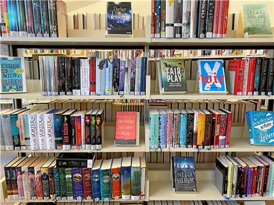 Viele Jugendbücher warten darauf, von den Mitgliedern des Sommerleseclubs ausgeliehen zu werden.Fotos: Schlegel(GZ-Archiv)