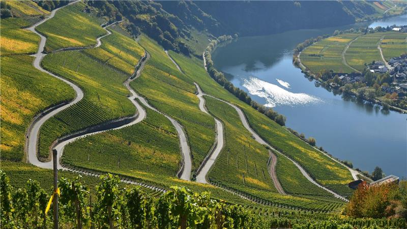 Viele Lagen an der Mosel bringen Spitzenweine hervor.