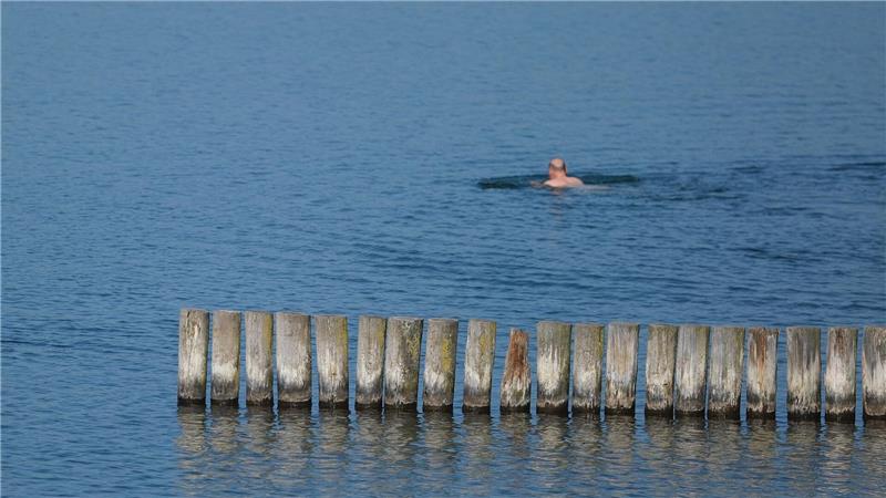 Viele Menschen dürften an diesem Wochenende Abkühlung suchen - so wie dieser Schwimmer am Markkleeberger See bei Leipzig.