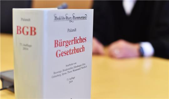 Viele Menschen in Deutschland blicken bei der hohen Regelungsdichte nicht mehr durch. Foto: Uli Deck/dpa