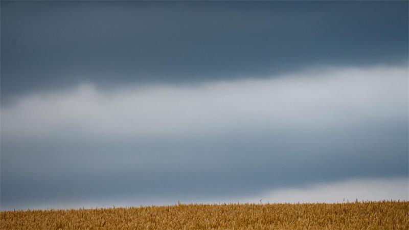 Viele Regenwolken sorgen im Nordwesten für nasse Tage.