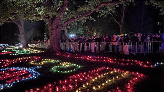 Viele Tausend Menschen bewundern die Lichterpracht im Stadtpark.