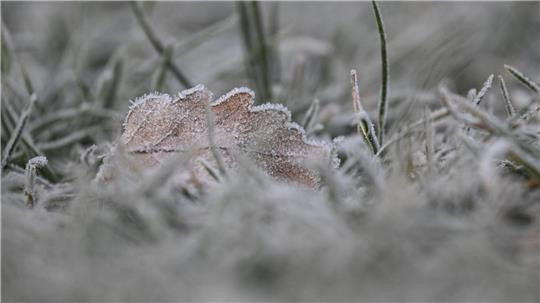 Vielerorts bleibt es schneefrei an Weihnachten - aber es kann Reif geben.