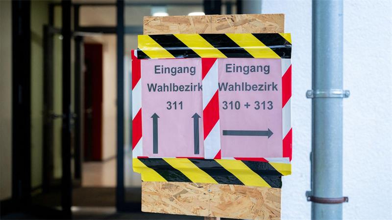 Vier Kandidaten der AfD wurden wegen Zweifeln an ihrer Verfassungstreue nicht zur Wahl zugelassen. 