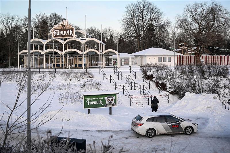 Getürmte Schimpansen in Schweden nun in sicherem Gehege Vier Schimpansen sind am Mittwoch aus ihrem Gehege und dem Schimpansenhaus des Zoos Furuvik ausgebrochen.