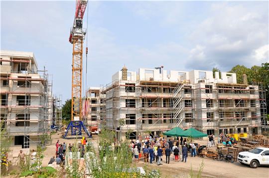 Vier Stadtvillen mit 56 Wohnungen: Der „Cattenberg-Park“ auf dem Kattenberg wächst. Foto: Heine