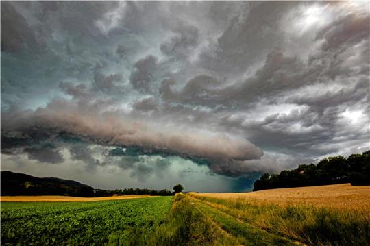 Violett gefärbte Gewitterwolken türmen sich tief über einem Feld in Bad Harzburg auf. Kreisbrandmeister Uwe Fricke hielt dieses Naturschauspiel mit Blick in Richtung Sudmerberg am Montag fest, kurz bevor das kurze, aber heftige Gewitter über Goslar und einige Nordharzstädte hinwegzog und etliche Bäume umriss.