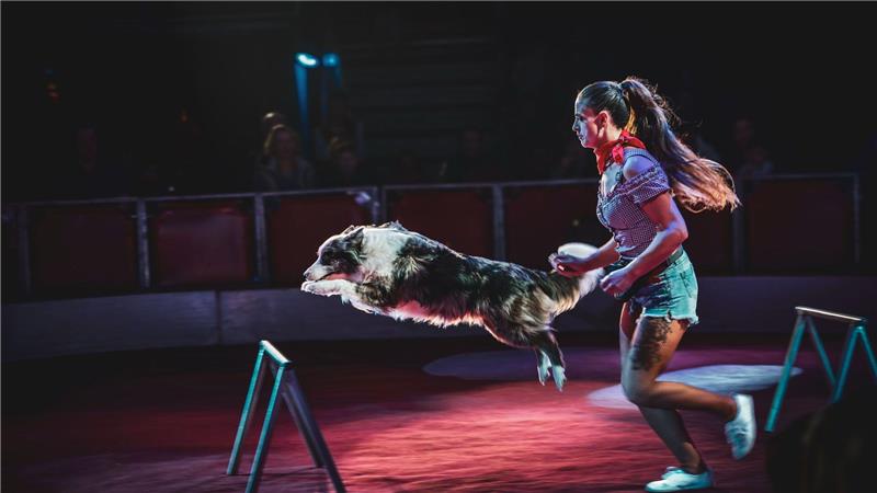 Virginia Lauenburger begeistert das Publikum mit ihren Hunden.