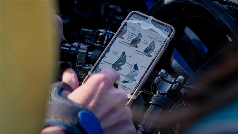 Fernglas statt Handy: Warum die Gen Z jetzt Birden geht Vogel-Bestimmung via Smartphone.