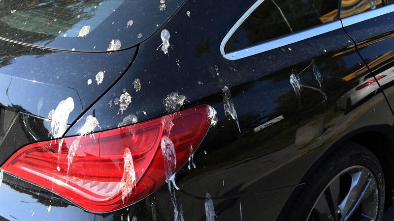 Glänzend sauber: So waschen Sie das Auto wie ein Profi Vogelkot kann den Lack bis in die Tiefe schädigen und sollte schnellstmöglich entfernt werden.