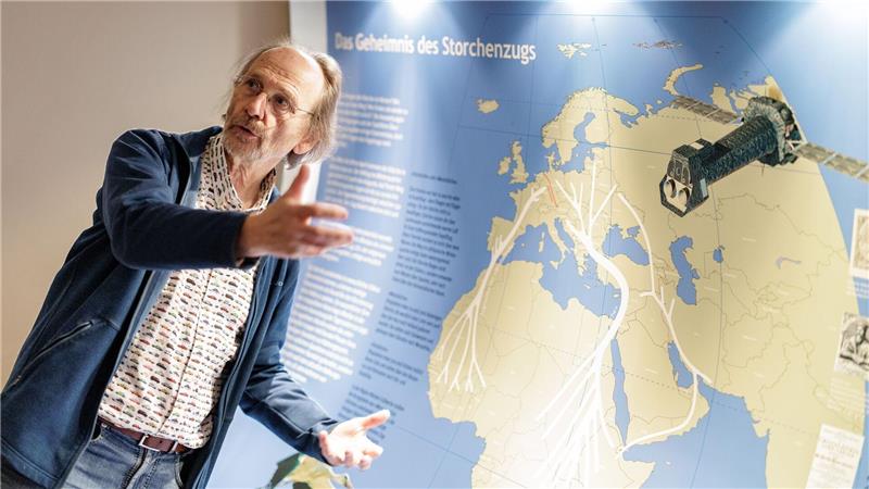 Was klappert da? Darum gibt es so viele Störche Vogelschützer Alfons Rolf Bense zeigt im Westfälischen Storchenmuseum eine Karte mit den Zugstrecken der Störche zu den Winterquartieren. Eine Hauptroute führt nach Westen über die Meerenge von Gibraltar nach Afrika. Viele dieser Westzieher fliegen aber gar nicht mehr so weit über das Mittelmeer. Die andere Hauptroute führt Richtung Osten über den Bosporus nach Afrika.