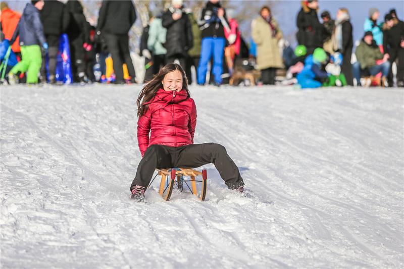 Volksrodeln auf der Ping in Clausthal-Zellerfeld.