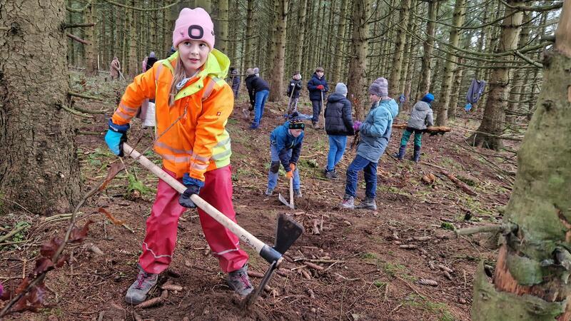 Voller Tatendrang: 63 Dritt- und Viertklässler der Grundschule Zellerfeld pflanzen Buchen und tun so etwas Gutes für die Umwelt.
