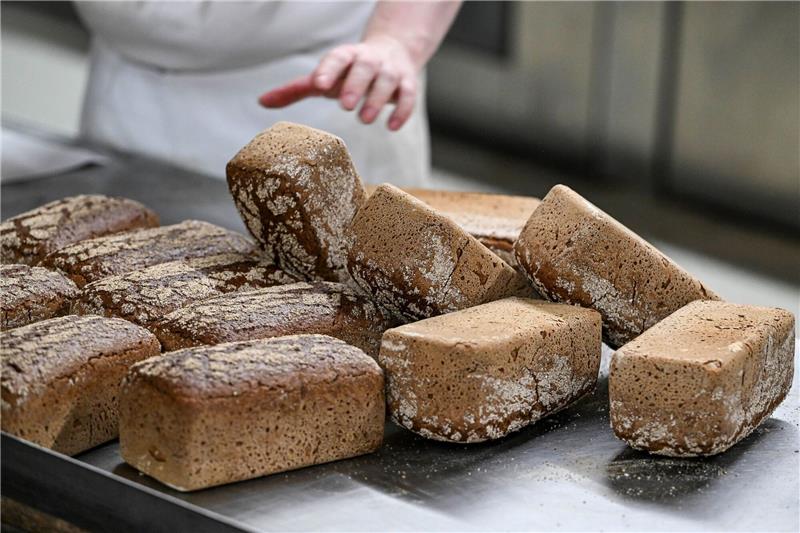Das Bäckerhandwerk - Zwischen Brotkunst und Preisdruck Vollkornbrote frisch aus dem Ofen.