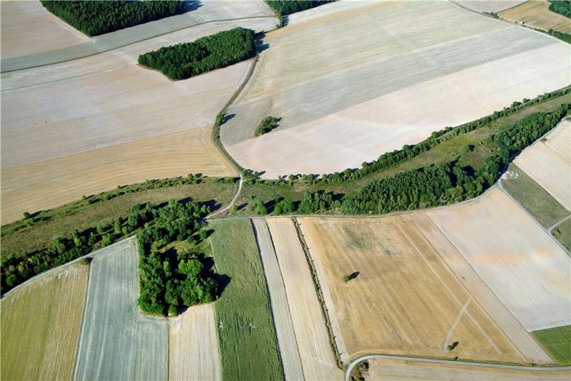 Welterbe-Status für den einstigen Todesstreifen? Vom Todesstreifen zur Lebenslinie: Das Grüne Band schlängelt sich durch Deutschland – auf etwa 87 Prozent der Fläche ist der Biotopverbund intakt. Foto: BUND Sachsen-Anhalt