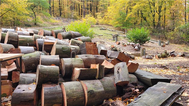 Baumwipfelpfad-Erweiterung? Jetzt kommt’s zur finalen Entscheidung Vom ehemaligen Skyrope-Hochseilgarten am Eingang zum Kalten Tal sind nur noch Einzelteile übrig. Auf der Fläche soll die „Wipfelerlebniswelt“ entstehen.
