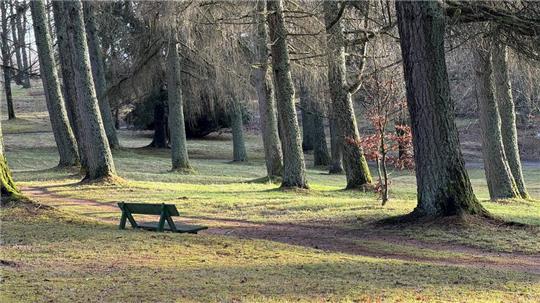 Von 450 auf 580 Prozent steigt der Hebesatz bei der Grundsteuer A (unbebaute Flächen) wie sie die Braunlager-Tourismus-Gesellschaft für den Kurpark zahlen muss