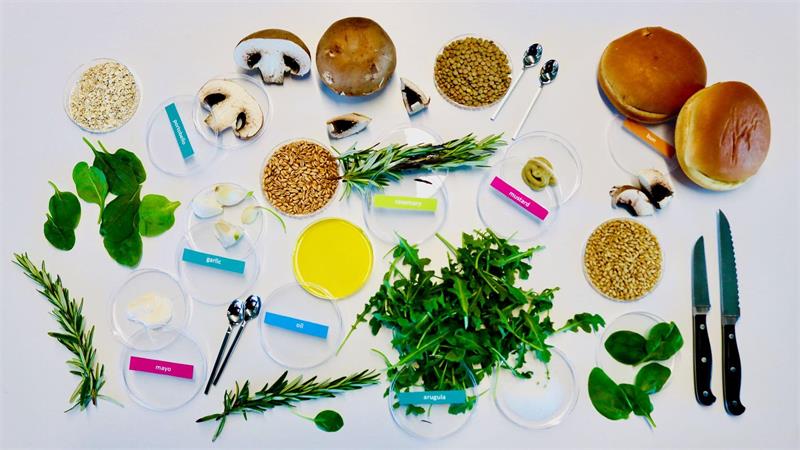 Wie Künstliche Intelligenz den optimalen Burger designt Von KI entworfene Zutaten für einen nachhaltigen und dabei leckeren Burger: unter anderem Zucht-Champignons, Rucola, Rosmarin, Körner und Gewürze.
