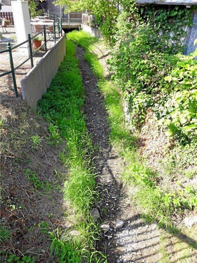 Von Wasser keine Spur: der trockene Weddelauf in Schladen.  Foto: Privat