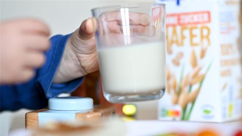 Von einer veganen Ernährung bei den Kleinen - also auch ohne Milch, Milchprodukte und Eier - raten Mediziner ab.
