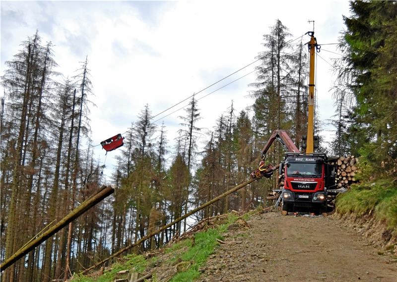 Von links kommen die Baumstämme den Berg hochgeschwebt. Auf der Plattform werden sie in mehrere Teile zerlegt und für den Abtransport gestapelt.  Foto: Stadt Goslar