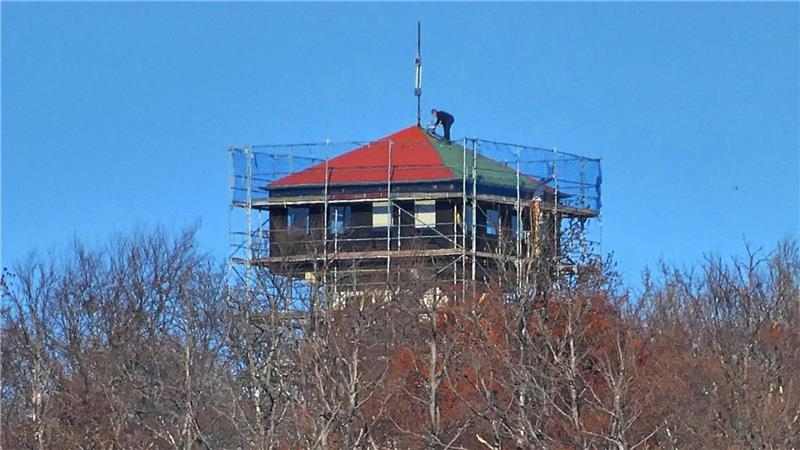 Das rote Dach des Harlyturms ragt über die Baumkronen.