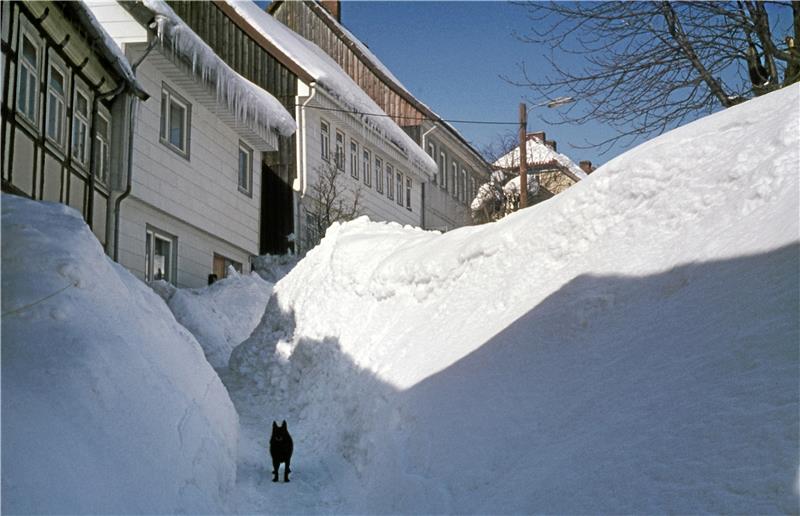 Vor 50 Jahren lag der Schnee im März „Im Loche“ an der Langen Straße in Hohegeiß meterhoch.  Archivfoto: Schwarz
