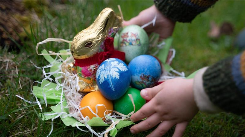 Vor Ostern ist die Nachfrage nach Hühnereiern besonders hoch. (Symbolbild)