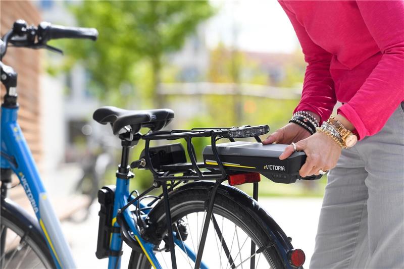 Vor allem in Deutschland setzen viele Menschen auf motorisierte Fahrräder.
