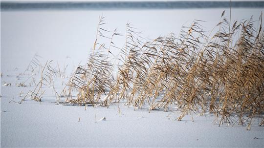 Vor dem Betreten von zugefrorenen Gewässern wird gewarnt. (Symbolbild)