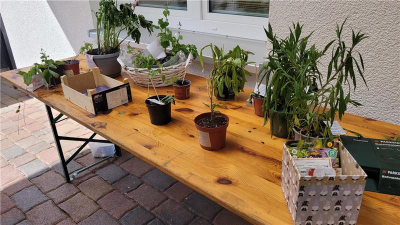 Vor dem Haus der Kirche können Pflanzen getauscht werden.