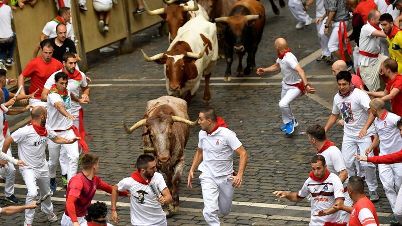 Vor den Bullen herzulaufen, ohne auf die Hörner genommen zu werden oder unter die Hufe zu geraten - das ist das Ziel Läufer bei den Stierhatzen im nordspanischen Pamplona.