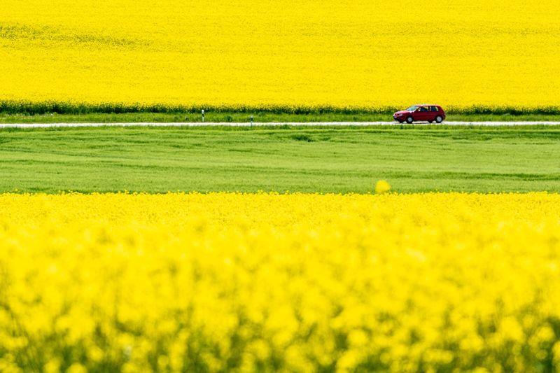 Vor der Fahrt in den Urlaub Reifen prüfen. Armin Weigel/dpa-tmn