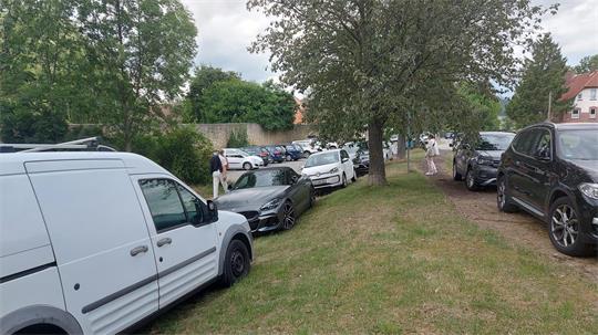 Viele Autos stehen auf Grünstreifen.