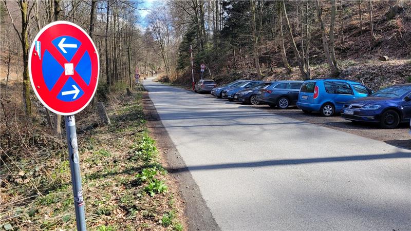Im Bad Harzburger Taternbruch: Mann schlägt Busfahrer ins Gesicht Vor der Schranke an der Zufahrt in den Taternbruch darf nach wie vor geparkt werden. Zumindest auf den Einstellern am rechten Fahrbahnrand – gegenüber gilt ein Haltverbot.