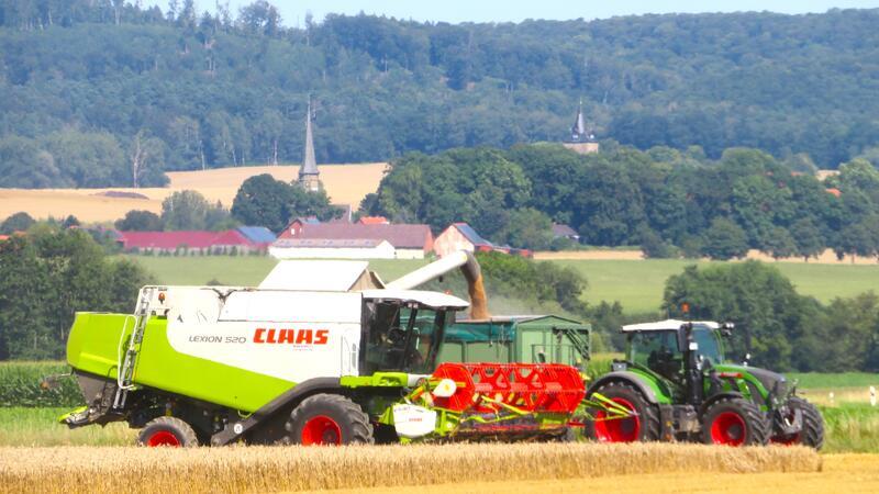 Die schlechteren Böden können in diesem Jahr profitieren Vor der Silhouette von Lutter leert der Mähdrescher seinen Korntank.