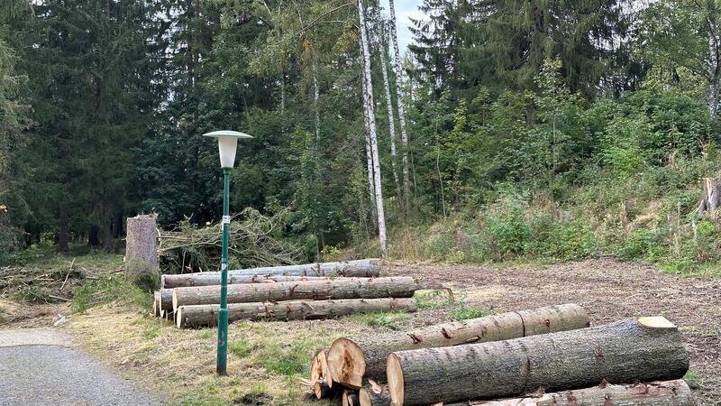Auf der Yogawiese im Braunlager Kurpark lagern nun die Holzstämme Vor vier Jahren ist auf der Fläche, auf der jetzt das Holz lagert, mit einer Privatspende von 10.000 Euro eine Yogawiese mit Rollrasen angelegt worden.