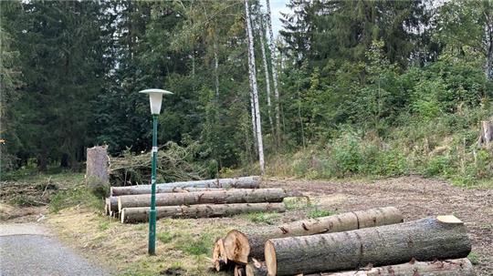 Vor vier Jahren ist auf der Fläche, auf der jetzt das Holz lagert, mit einer Privatspende von 10.000 Euro eine Yogawiese mit Rollrasen angelegt worden.