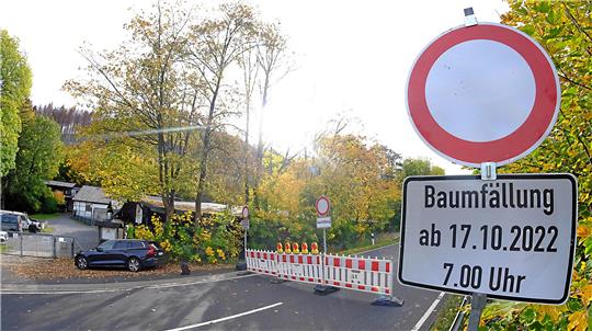 Straßensperre mit Verkehrsschild "Verbot für Fahrzeuge aller Art" und Zusatzschild "Baumfällung ab 17.10.2022 7.00 Uhr" vor herbstlich bewachsenem Waldgebiet